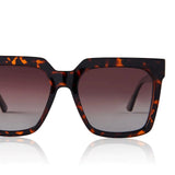 Tortoise shell glasses