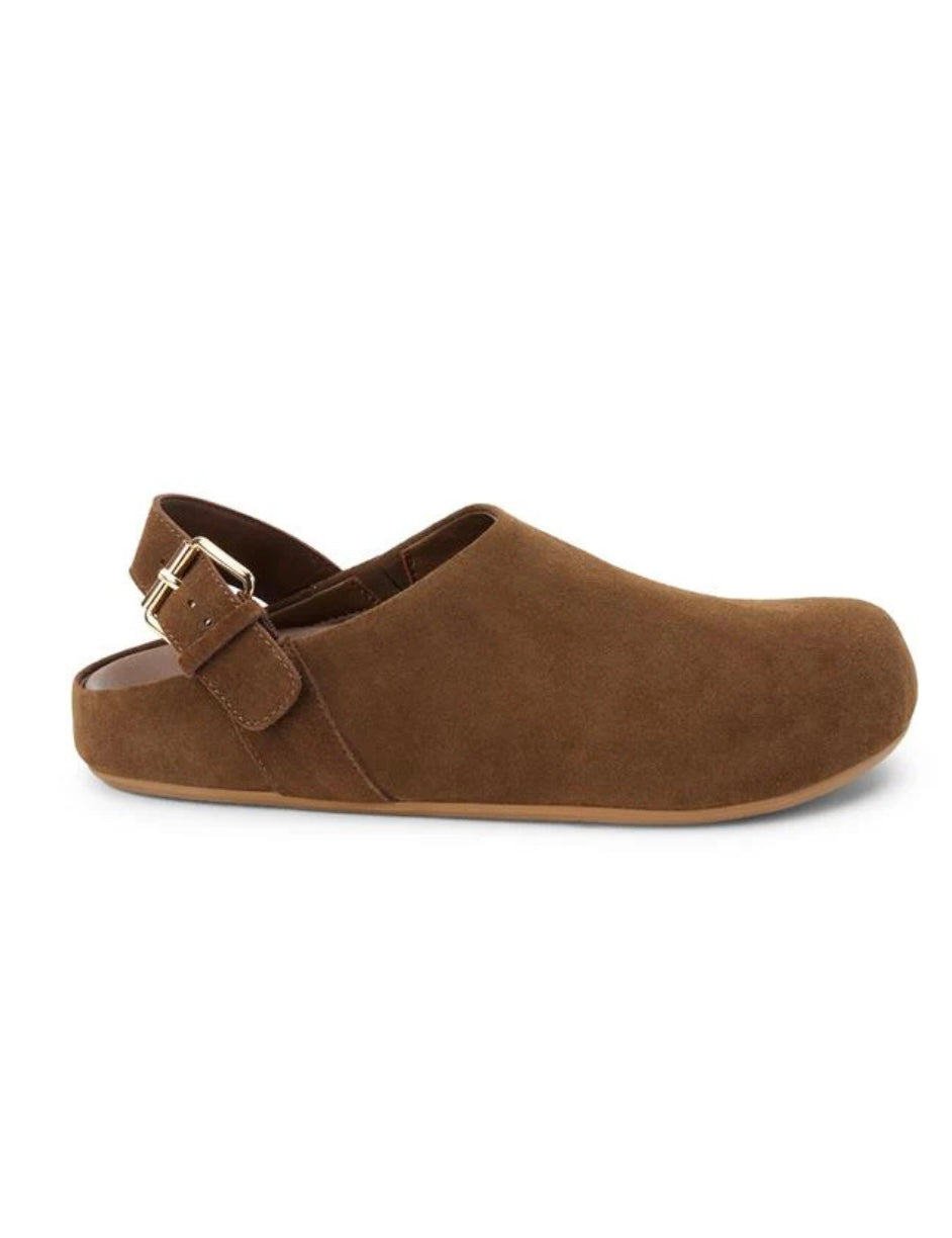 Cocco's Clog