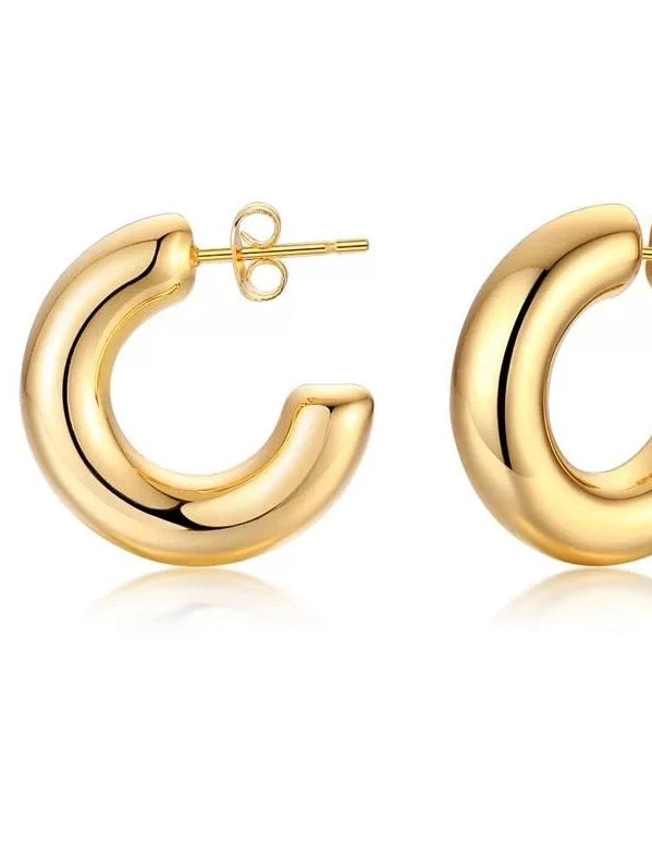 Chloe Mini Hoop
